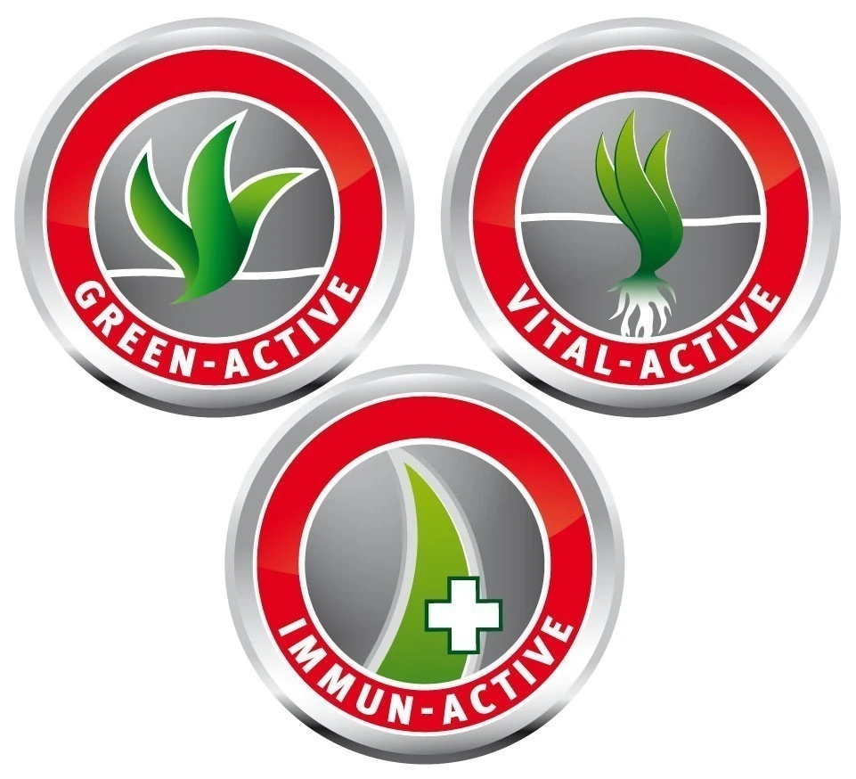 Wolf-Garten Wolf Garten Rasen Starter Dünger LH100 Ausreichend Für 100 M² – Bild 2