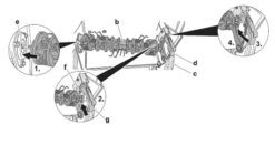 Wolf-Garten Lüfterwalze Für Wolf Garten Benzin-Vertikutierer