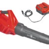 Wolf-Garten Akku Laubbläser Wolf Garten LYCOS 40/740 B 40V Set