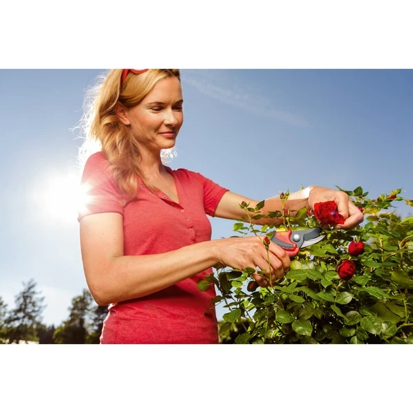 WOLF-Garten Gartenschere RR 4000 "Premium Plus" (rot/grau, 2-schneidig) – Bild 9